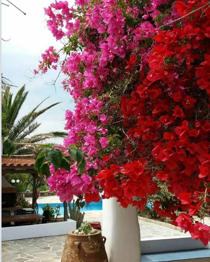 Villa Pari Manda 아기오스프로코피오스 외부 사진